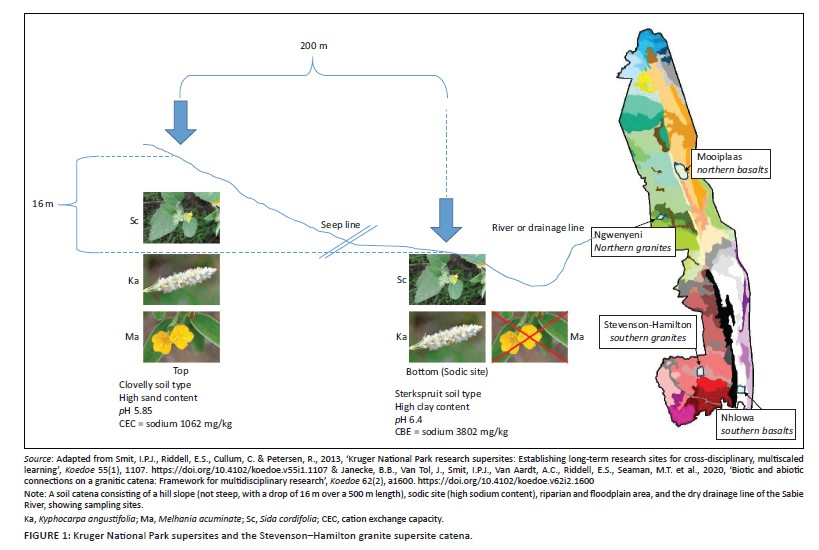 screenshot 2026 02 28 140642