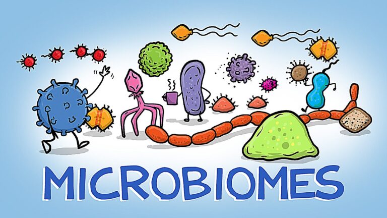 microbiomes 1