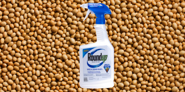 roundup dispenser and soya beans 960x480