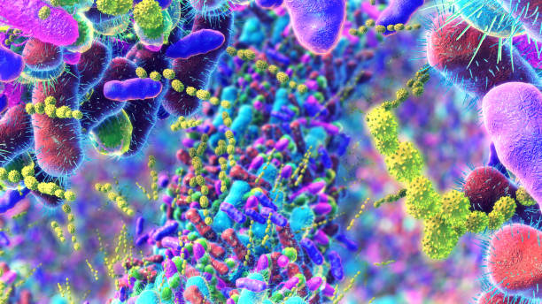 bacteria 3