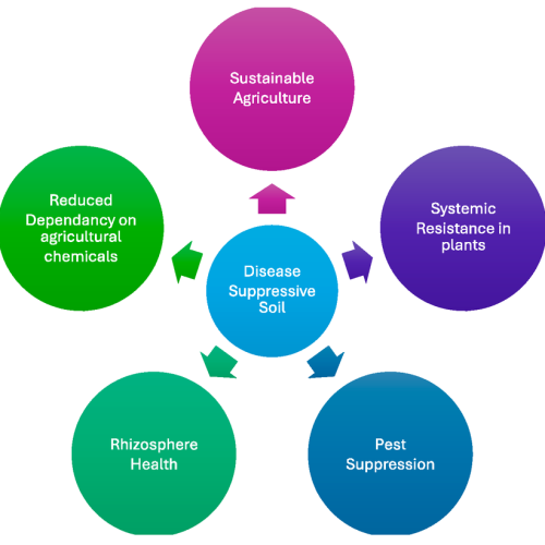 an illustration of the beneficial function of disease suppressive soils